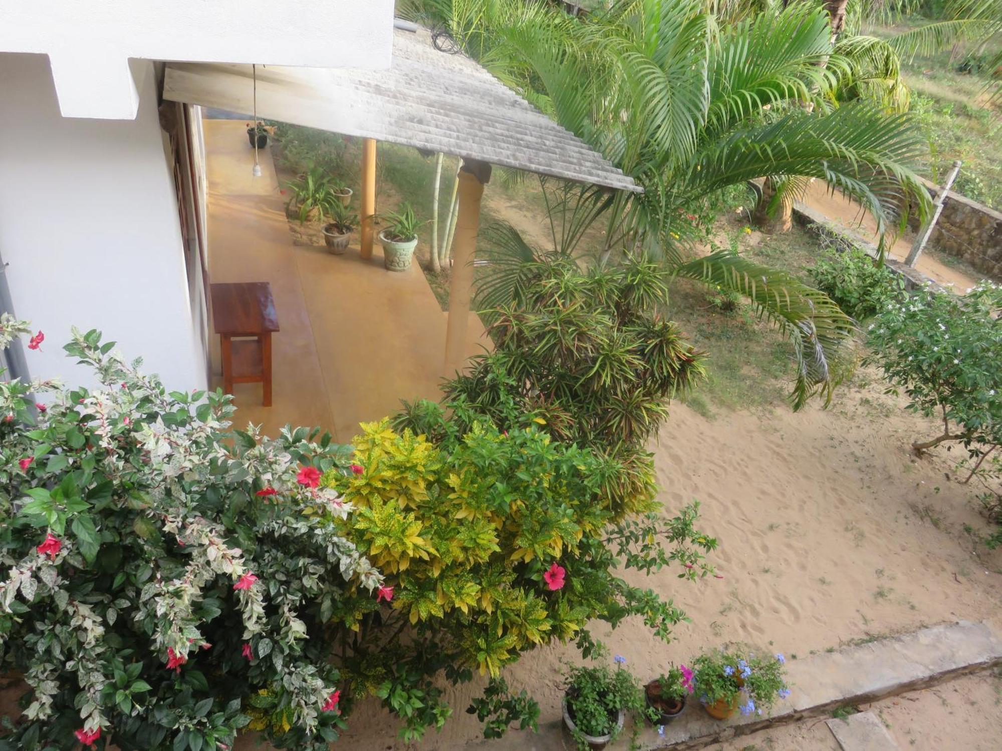Beach Lagoon Guesthouse Tangalle Extérieur photo