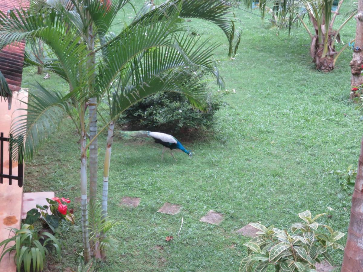 Beach Lagoon Guesthouse Tangalle Extérieur photo